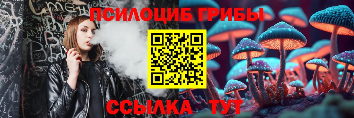 Галлюциногенные грибы мицелий  Псилоцибиновые грибы MAGIC MUSHROOMS  Дивногорск  Вход с VPN 
