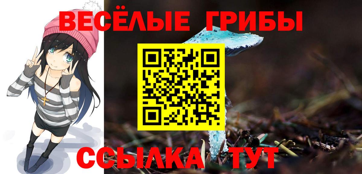 Псилоцибиновые грибы мицелий Дивногорск